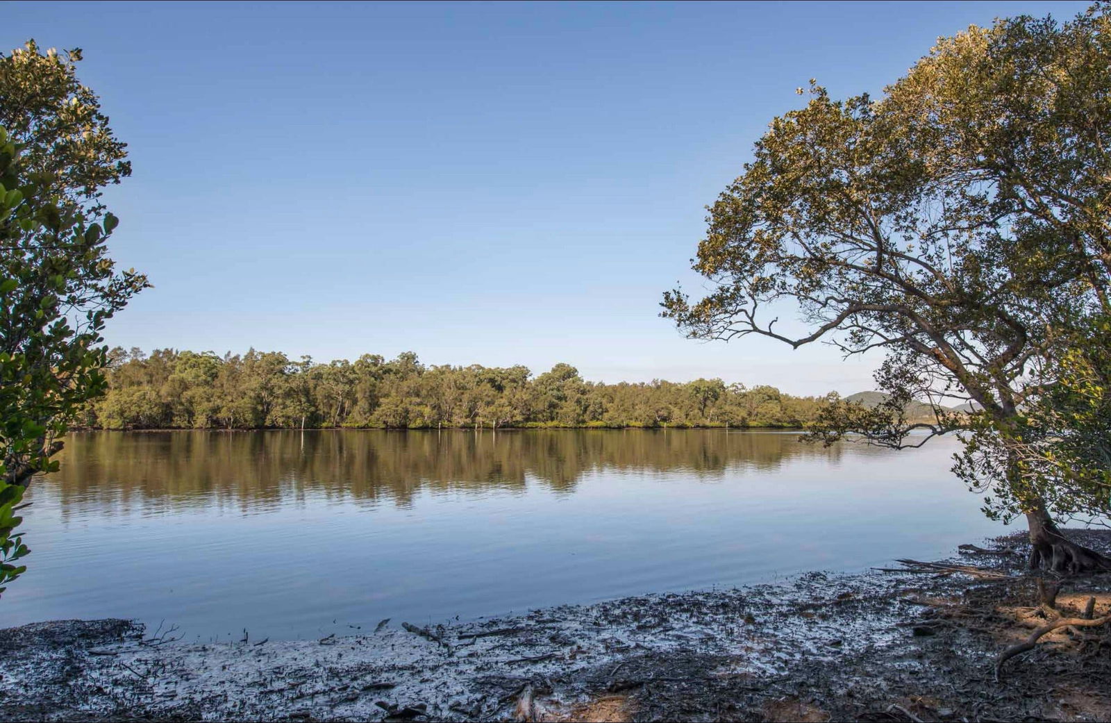 Limeburners Creek NSW Surfers Gold Coast
