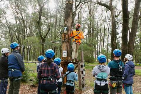 Forest Adventures South West - Surfers Gold Coast 0
