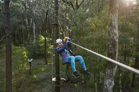 Forest Adventures South West - Surfers Gold Coast 2