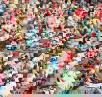 Gnomesville - Surfers Gold Coast