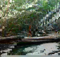 Great Beach Drive - 3 Day Itinerary - Surfers Gold Coast