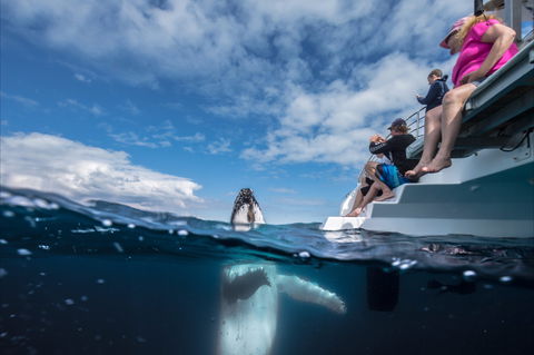 Great Beach Drive - 3 Day Itinerary - Surfers Gold Coast 2