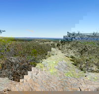 Hale Conservation Park - Surfers Gold Coast