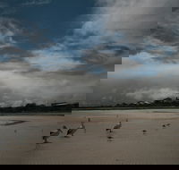 Hardwicke Bay - Surfers Gold Coast