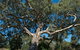 Holey Plains State Park - thumb 0