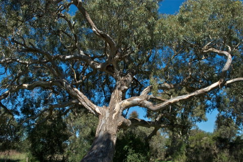 Holey Plains State Park - Surfers Gold Coast 0