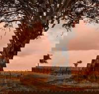 Hynam - Surfers Gold Coast