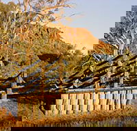 Illamurta Springs Conservation Reserve - Surfers Gold Coast