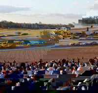 Ipswich Motorsport Precinct - Surfers Gold Coast