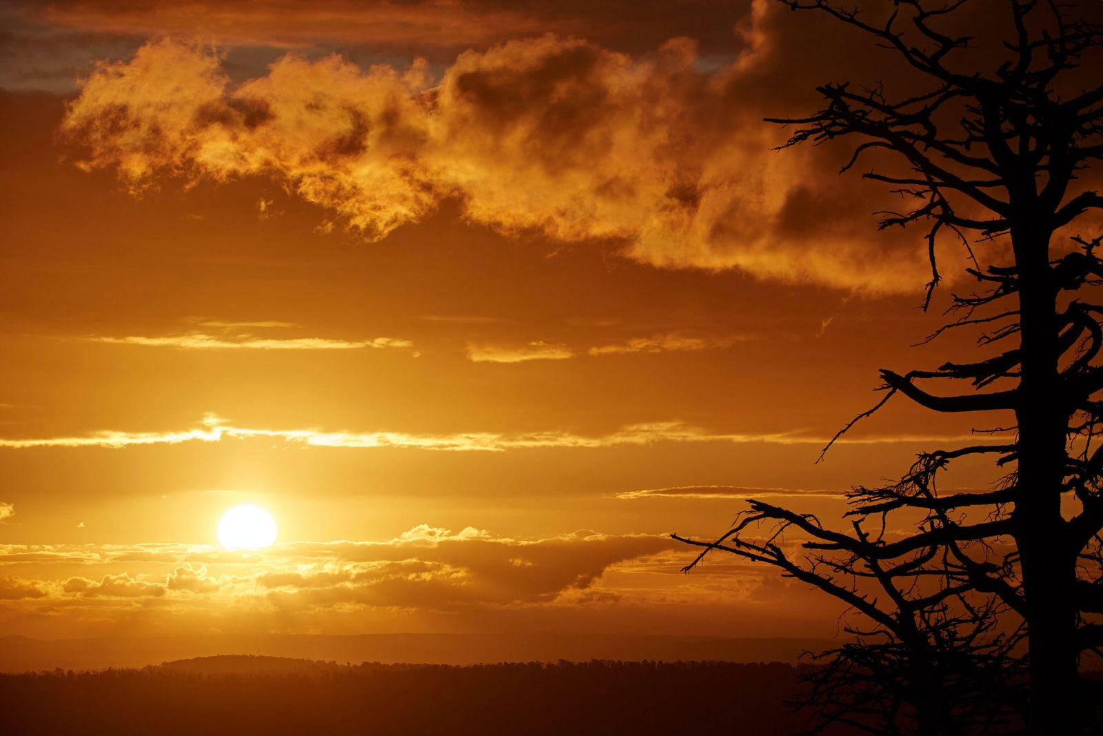 Kinglake Central VIC Surfers Gold Coast