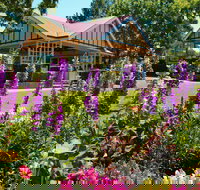 Laurel Bank Park - Surfers Gold Coast