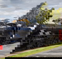 Margate Train - The - Surfers Gold Coast