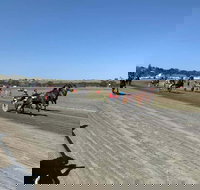 Marburg Pacing Association - Surfers Gold Coast