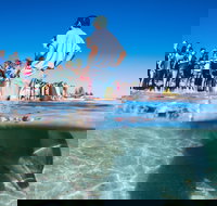 Monkey Mia - Surfers Gold Coast