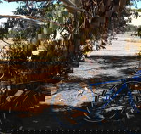 Murchison Rail Trail - Surfers Gold Coast