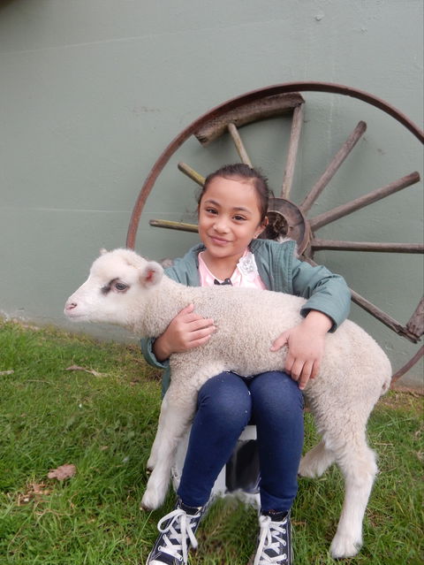 Myuna Farm - Surfers Gold Coast 0