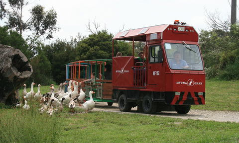 Myuna Farm - Surfers Gold Coast 2