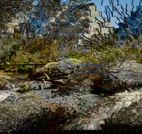 Pallaibo walking track - Surfers Gold Coast