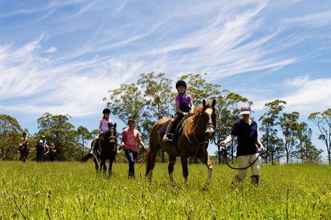 Port Macquarie Horse Riding Centre - Surfers Gold Coast 0