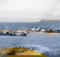 Portarlington - Surfers Gold Coast