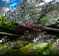 Puffing Billy Railway - Surfers Gold Coast