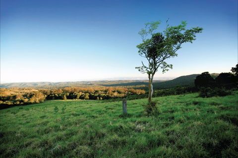 Ravensbourne National Park - Surfers Gold Coast 0
