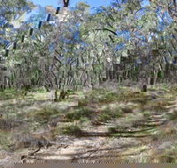 Reef Hills State Park - Surfers Gold Coast