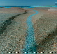 Rowley Shoals - Surfers Gold Coast