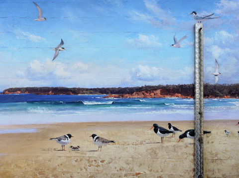 Shoalhaven Toilet Mural Tour - Surfers Gold Coast 2