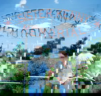 Sister Kenny Memorial Nobby - Surfers Gold Coast