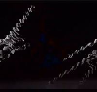 Sydney Dance Company - Surfers Gold Coast