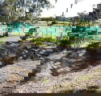 Tactical Paintball Games - Surfers Gold Coast