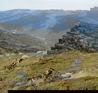 Thredbo Mountain Biking - Surfers Gold Coast