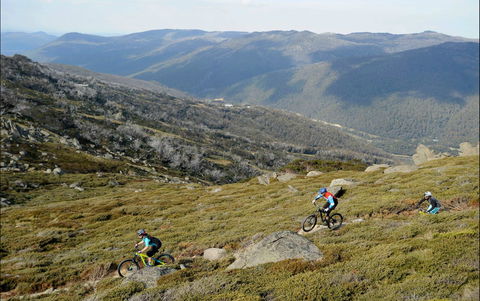 Thredbo Mountain Biking - Surfers Gold Coast 0