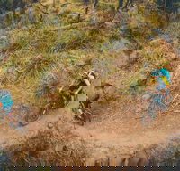 Trevallyn Dam - Surfers Gold Coast