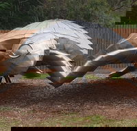 Underwater Marine Sculptures - Surfers Gold Coast