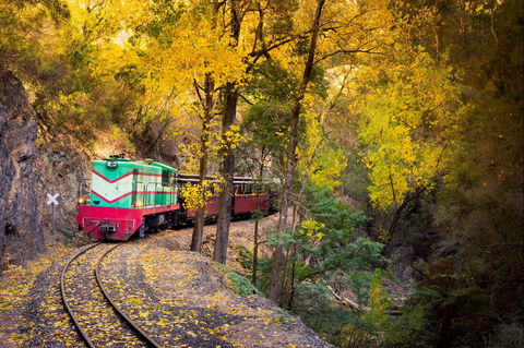 Walhalla Goldfields Railway - Surfers Gold Coast 2