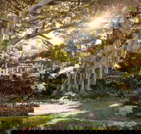 Wendy Whiteley's Secret Garden - Surfers Gold Coast