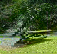 Williams River picnic area - Surfers Gold Coast