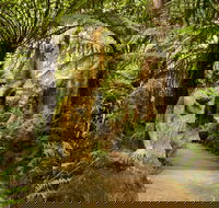 William Ricketts Sanctuary - Surfers Gold Coast