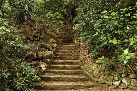 William Ricketts Sanctuary - Surfers Gold Coast 1
