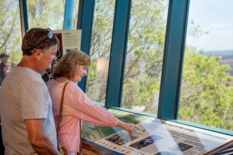 Window On The Wetlands - Surfers Gold Coast 2