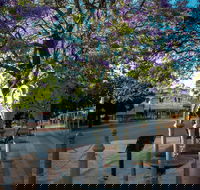 Witcombe Fountain - Surfers Gold Coast