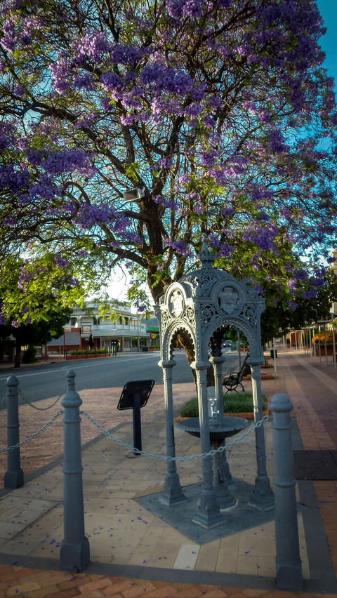 Witcombe Fountain - Surfers Gold Coast 0