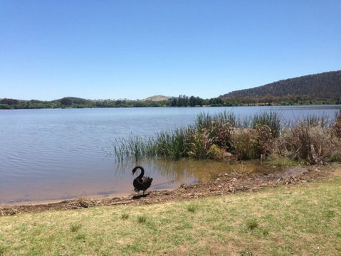 Yarralumla Bay - Surfers Gold Coast 0