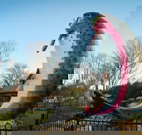 Big Trout - Surfers Gold Coast