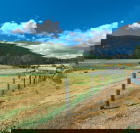 Blackwood River Tourist Drive - Surfers Gold Coast