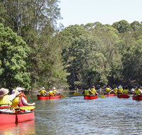 Bonville Creek - Surfers Gold Coast