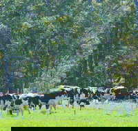 Boyanup - Surfers Gold Coast