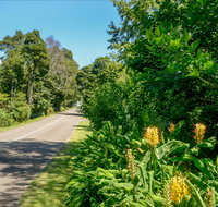 Broughton Vale - Surfers Gold Coast